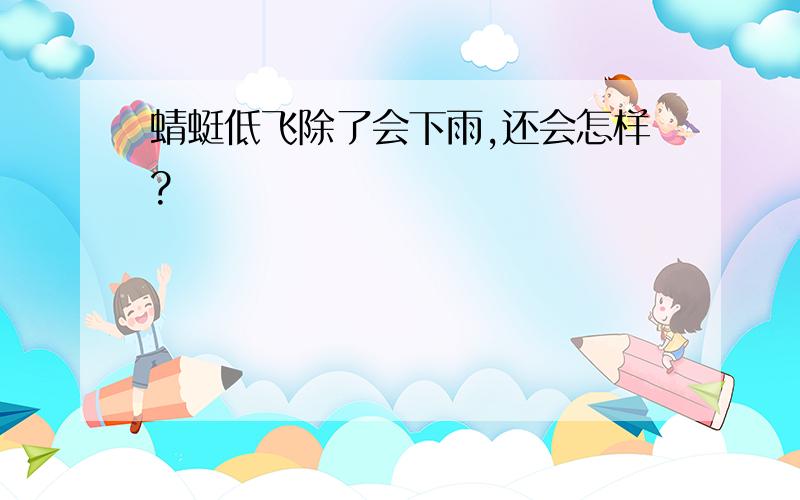 蜻蜓低飞除了会下雨,还会怎样?