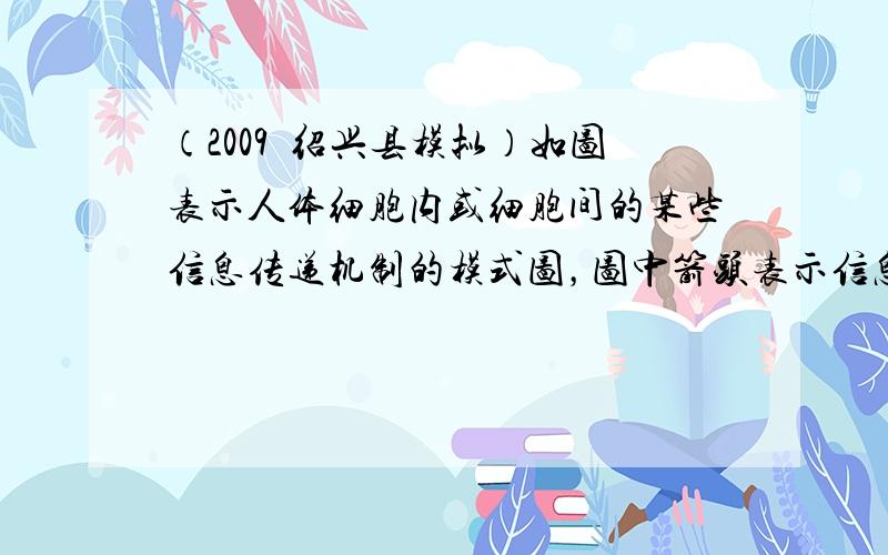 （2009•绍兴县模拟）如图表示人体细胞内或细胞间的某些信息传递机制的模式图，图中箭头表示信息传递的方向．下列有关叙述正