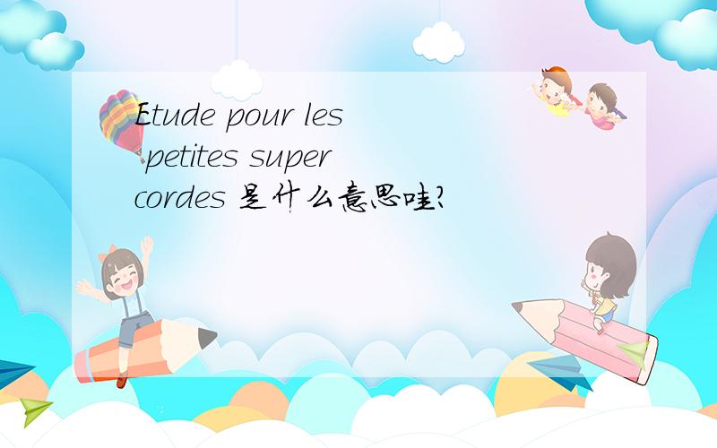 Etude pour les petites supercordes 是什么意思哇?