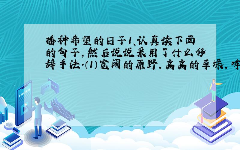 播种希望的日子1、认真读下面的句子,然后说说采用了什么修辞手法.（1）宽阔的原野,高高的草垛,哞哞的牛叫,清脆的鸟鸣,使