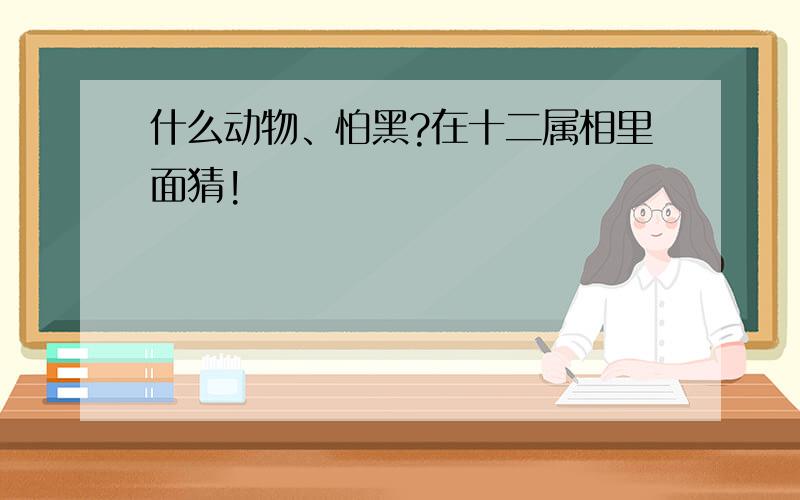 什么动物、怕黑?在十二属相里面猜!