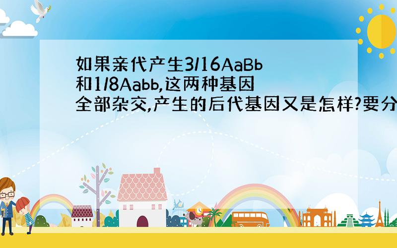 如果亲代产生3/16AaBb和1/8Aabb,这两种基因全部杂交,产生的后代基因又是怎样?要分为自交吗?比例会不会影响其