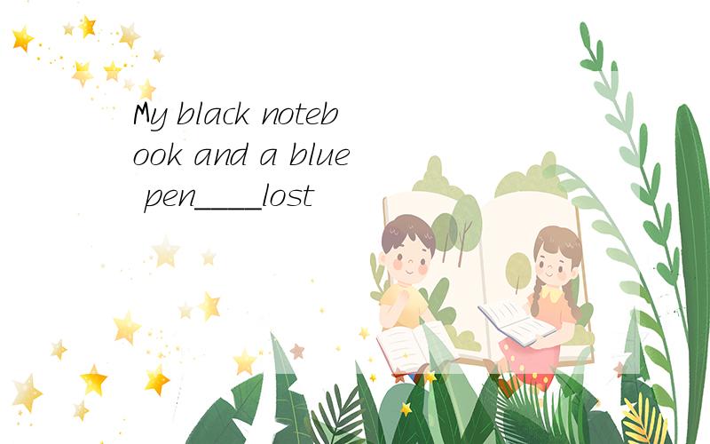 My black notebook and a blue pen____lost