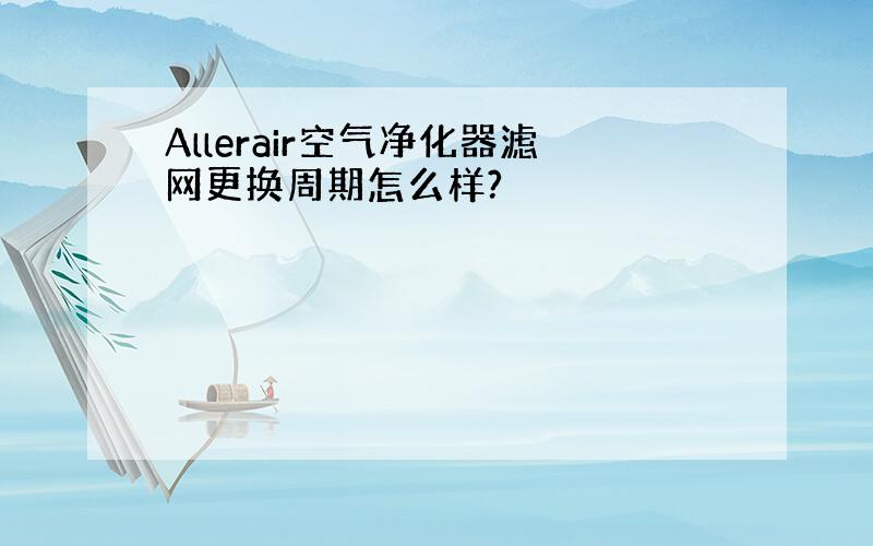 Allerair空气净化器滤网更换周期怎么样?