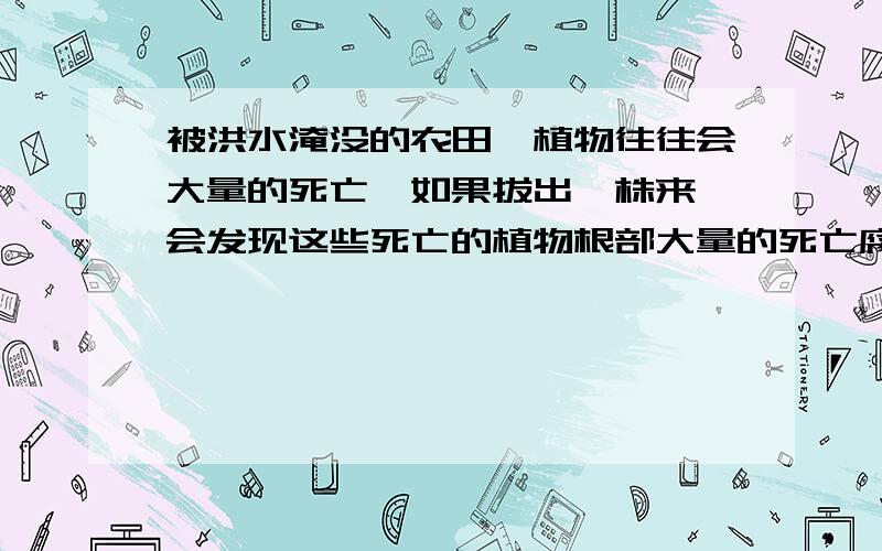 被洪水淹没的农田,植物往往会大量的死亡,如果拔出一株来,会发现这些死亡的植物根部大量的死亡腐烂,请从呼吸作用的角度来考虑