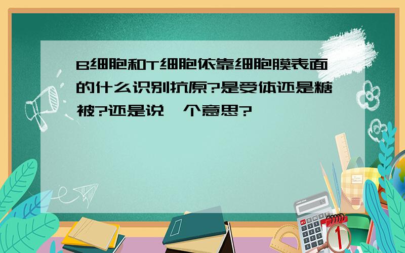 B细胞和T细胞依靠细胞膜表面的什么识别抗原?是受体还是糖被?还是说一个意思?