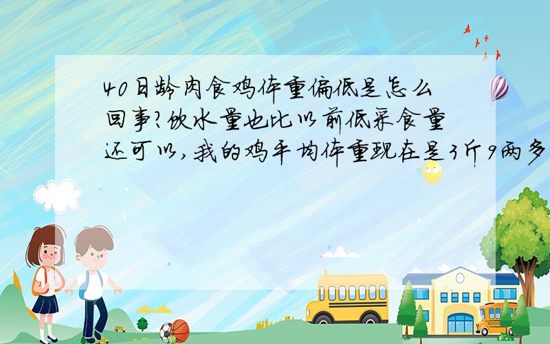 40日龄肉食鸡体重偏低是怎么回事?饮水量也比以前低采食量还可以,我的鸡平均体重现在是3斤9两多 貌似不太