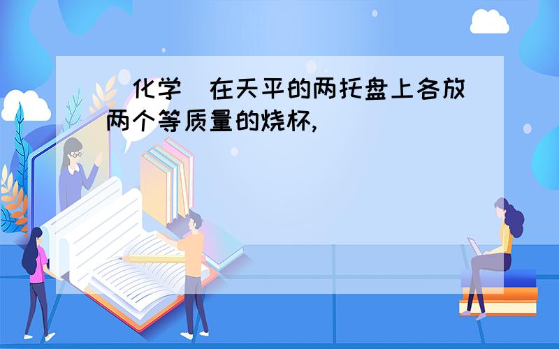 [化学]在天平的两托盘上各放两个等质量的烧杯,