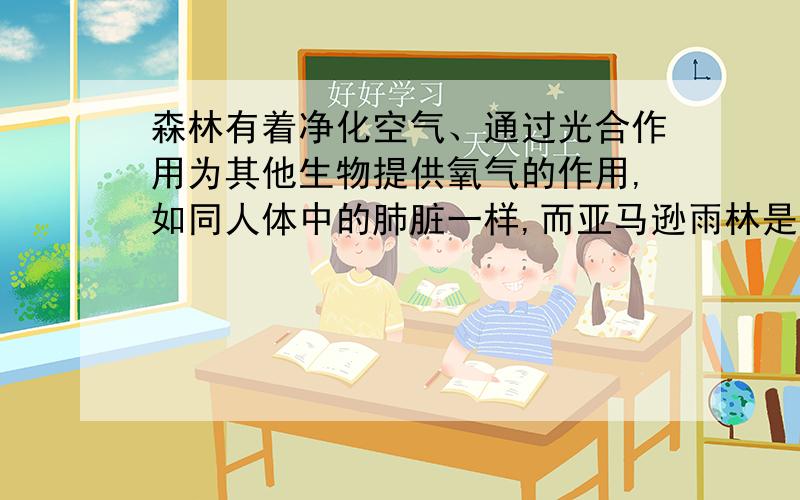 森林有着净化空气、通过光合作用为其他生物提供氧气的作用,如同人体中的肺脏一样,而亚马逊雨林是世界上面积最大的雨林,上述作