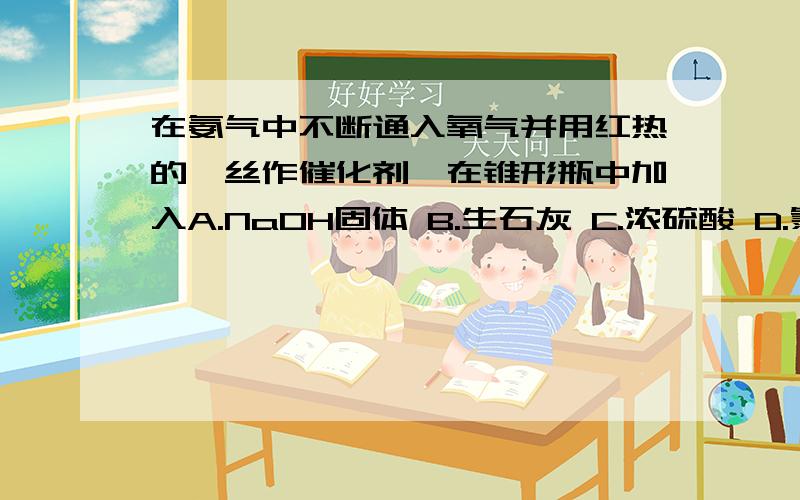 在氨气中不断通入氧气并用红热的铂丝作催化剂,在锥形瓶中加入A.NaOH固体 B.生石灰 C.浓硫酸 D.氯化铵固体