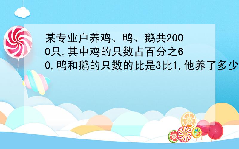 某专业户养鸡、鸭、鹅共2000只,其中鸡的只数占百分之60,鸭和鹅的只数的比是3比1,他养了多少只鹅