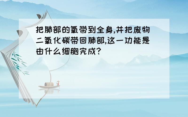 把肺部的氧带到全身,并把废物二氧化碳带回肺部,这一功能是由什么细胞完成?