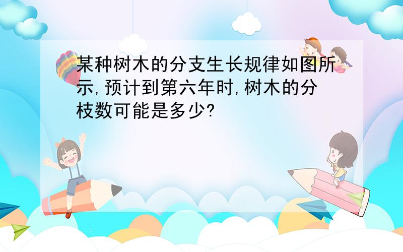 某种树木的分支生长规律如图所示,预计到第六年时,树木的分枝数可能是多少?