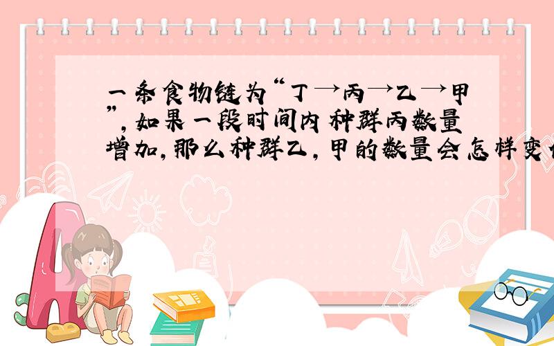 一条食物链为“丁→丙→乙→甲”,如果一段时间内种群丙数量增加,那么种群乙,甲的数量会怎样变化?