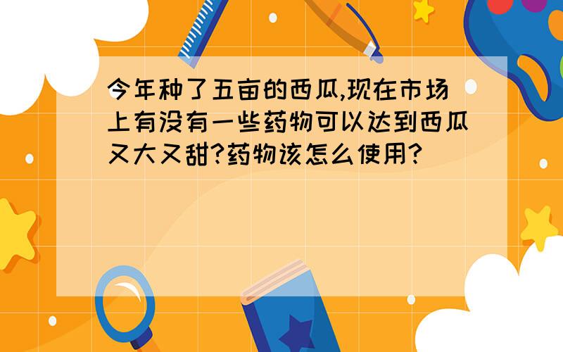 今年种了五亩的西瓜,现在市场上有没有一些药物可以达到西瓜又大又甜?药物该怎么使用?