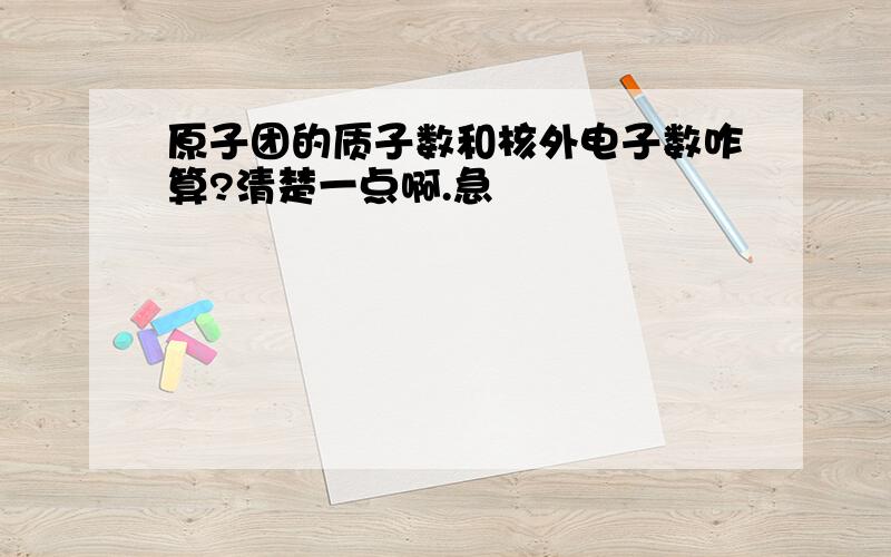 原子团的质子数和核外电子数咋算?清楚一点啊.急