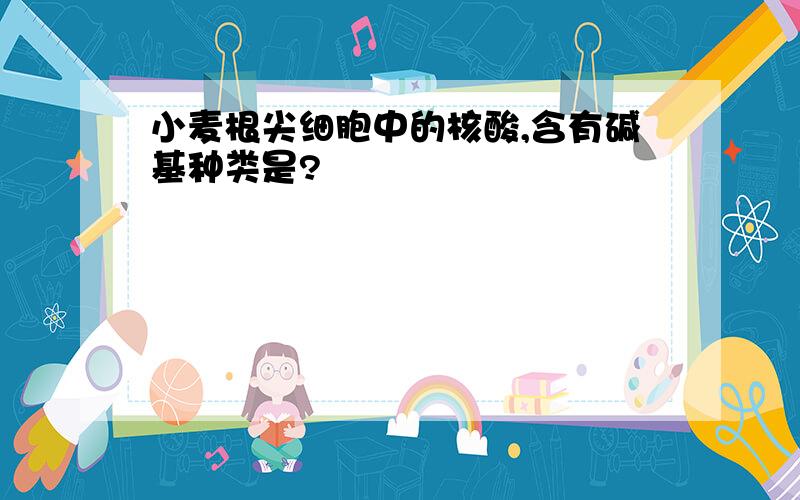 小麦根尖细胞中的核酸,含有碱基种类是?