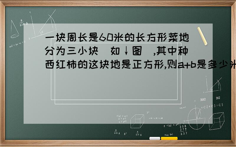 一块周长是60米的长方形菜地分为三小块（如↓图）,其中种西红柿的这块地是正方形,则a+b是多少米?