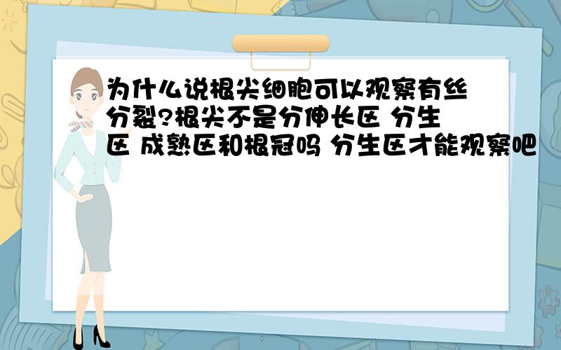 为什么说根尖细胞可以观察有丝分裂?根尖不是分伸长区 分生区 成熟区和根冠吗 分生区才能观察吧