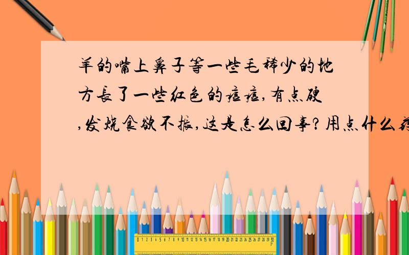 羊的嘴上鼻子等一些毛稀少的地方长了一些红色的痘痘,有点硬,发烧食欲不振,这是怎么回事?用点什么药让它恢复正常?