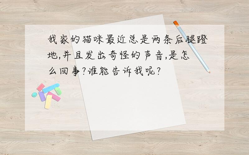 我家的猫咪最近总是两条后腿蹬地,并且发出奇怪的声音,是怎么回事?谁能告诉我呢?