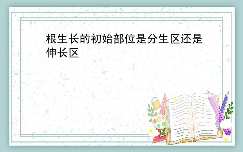 根生长的初始部位是分生区还是伸长区