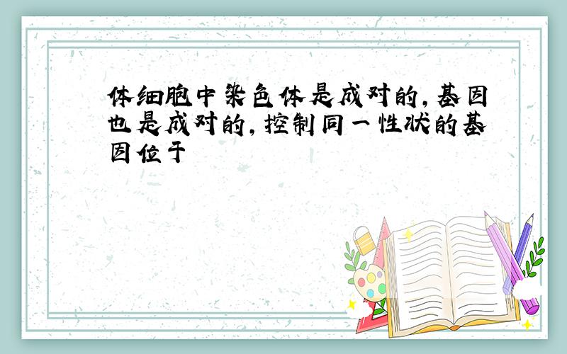 体细胞中染色体是成对的,基因也是成对的,控制同一性状的基因位于