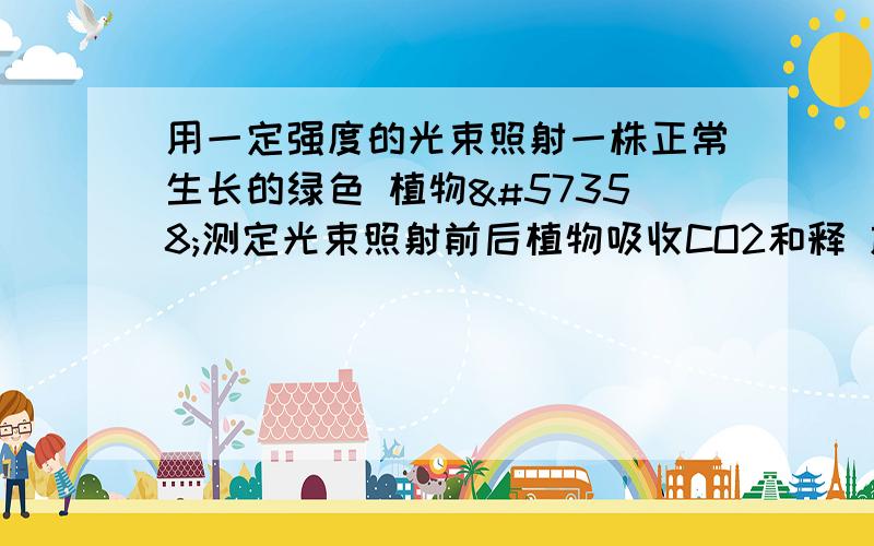 用一定强度的光束照射一株正常生长的绿色 植物测定光束照射前后植物吸收CO2和释 放O2量的变化