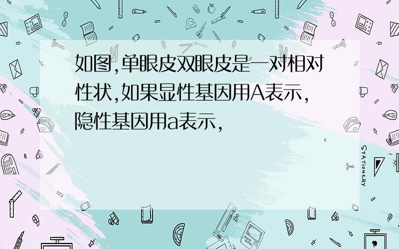 如图,单眼皮双眼皮是一对相对性状,如果显性基因用A表示,隐性基因用a表示,