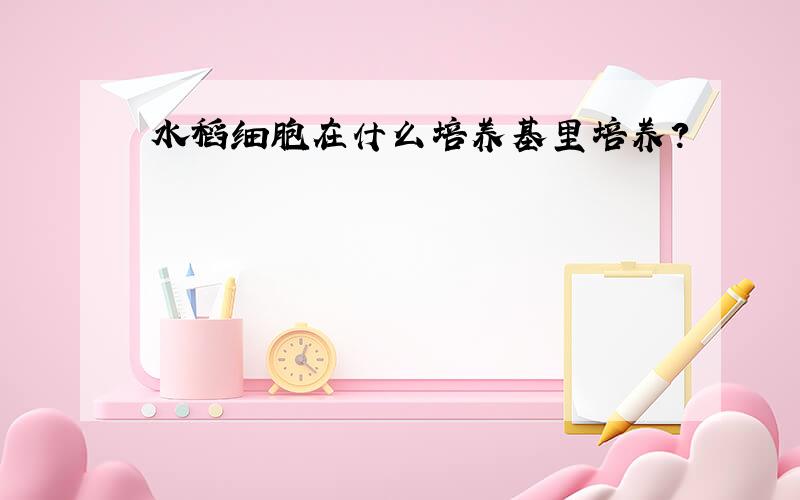 水稻细胞在什么培养基里培养?