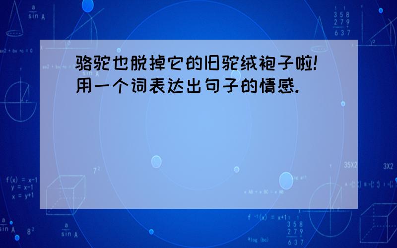 骆驼也脱掉它的旧驼绒袍子啦!用一个词表达出句子的情感.