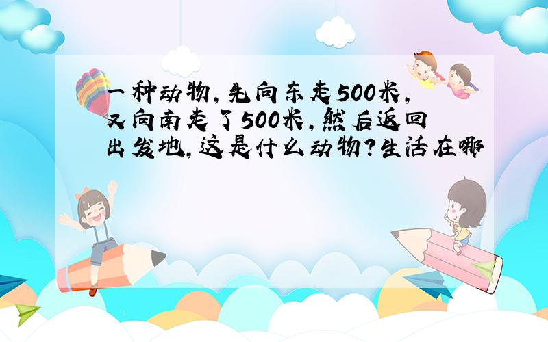 一种动物,先向东走500米,又向南走了500米,然后返回出发地,这是什么动物?生活在哪