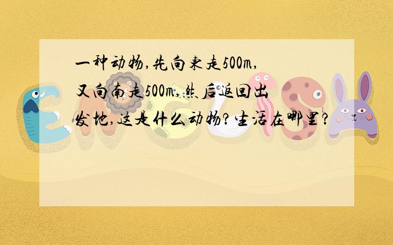 一种动物,先向东走500m,又向南走500m,然后返回出发地,这是什么动物?生活在哪里?