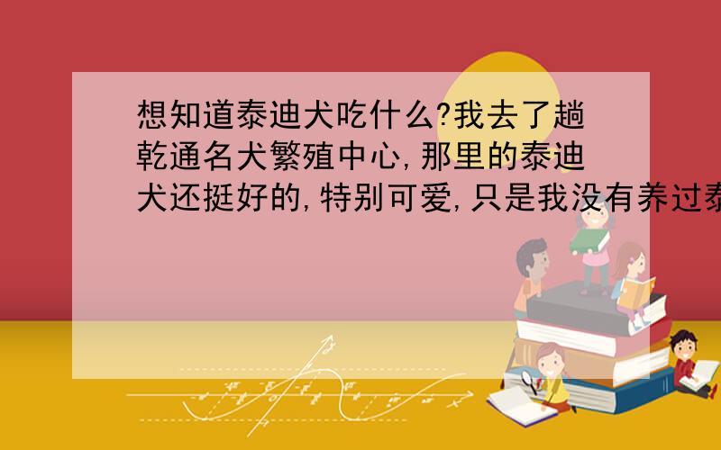 想知道泰迪犬吃什么?我去了趟乾通名犬繁殖中心,那里的泰迪犬还挺好的,特别可爱,只是我没有养过泰迪犬,不知道有什么地方该注