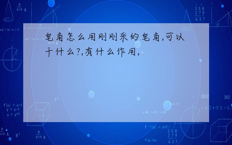 皂角怎么用刚刚采的皂角,可以干什么?,有什么作用,