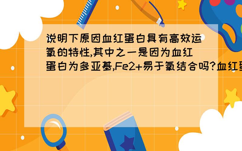 说明下原因血红蛋白具有高效运氧的特性,其中之一是因为血红蛋白为多亚基,Fe2+易于氧结合吗?血红蛋白运输样的能力大于肌红