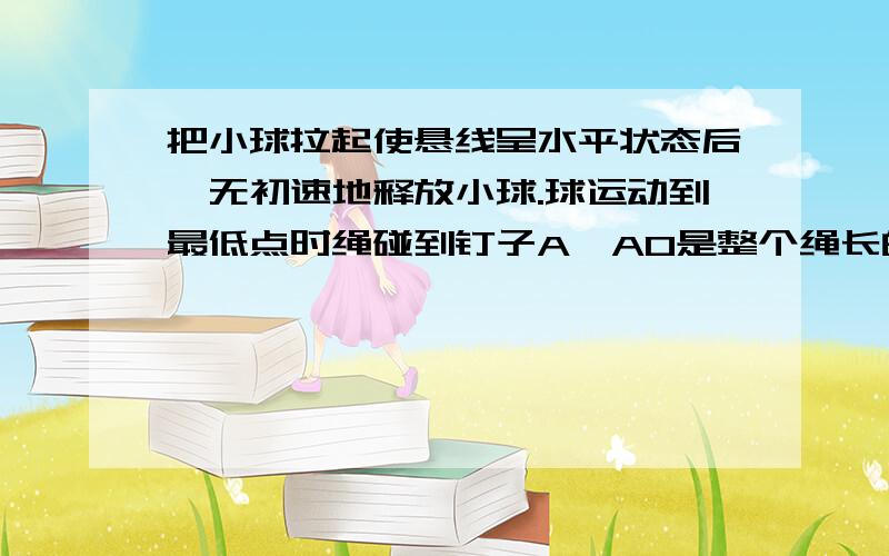 把小球拉起使悬线呈水平状态后,无初速地释放小球.球运动到最低点时绳碰到钉子A,AO是整个绳长的2/3,以下说法正确的是