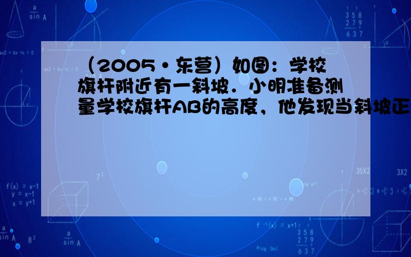 （2005•东营）如图：学校旗杆附近有一斜坡．小明准备测量学校旗杆AB的高度，他发现当斜坡正对着太阳时，旗杆AB的影子恰