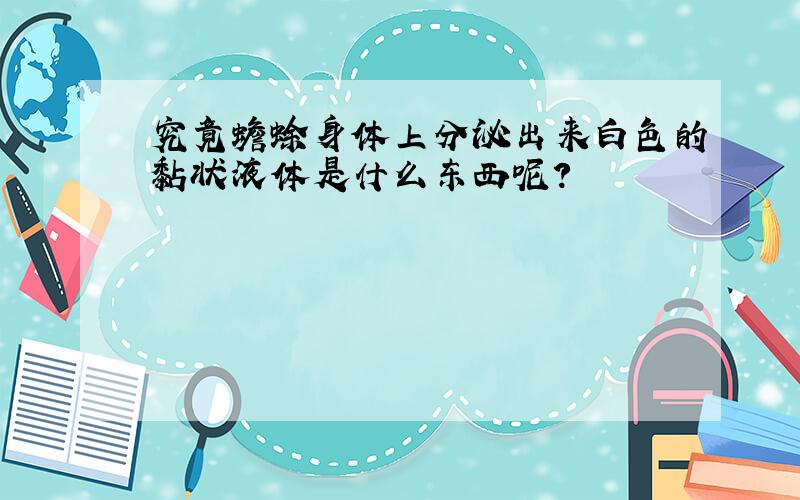 究竟蟾蜍身体上分泌出来白色的黏状液体是什么东西呢?