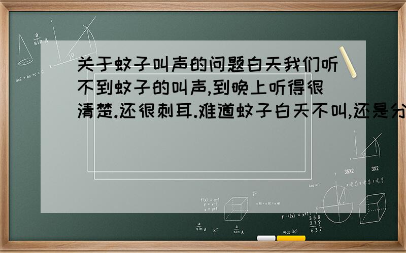 关于蚊子叫声的问题白天我们听不到蚊子的叫声,到晚上听得很清楚.还很刺耳.难道蚊子白天不叫,还是分公,