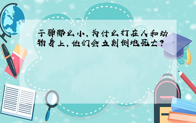 子弹那么小,为什么打在人和动物身上,他们会立刻倒地死亡?