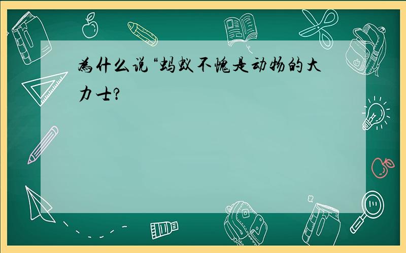 为什么说“蚂蚁不愧是动物的大力士?