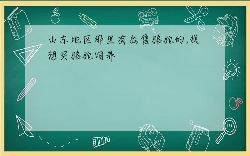 山东地区那里有出售骆驼的,我想买骆驼饲养