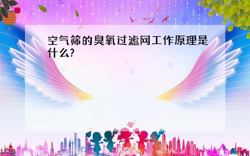 空气筛的臭氧过滤网工作原理是什么?