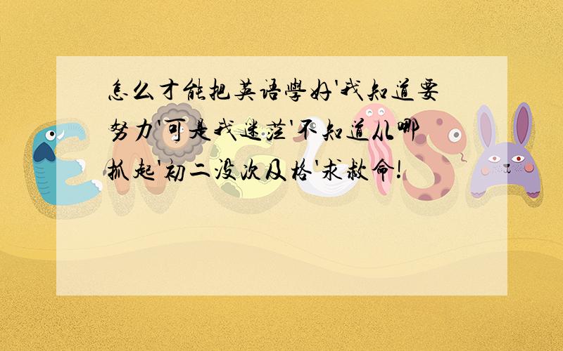 怎么才能把英语学好'我知道要努力'可是我迷茫'不知道从哪抓起'初二没次及格'求救命!