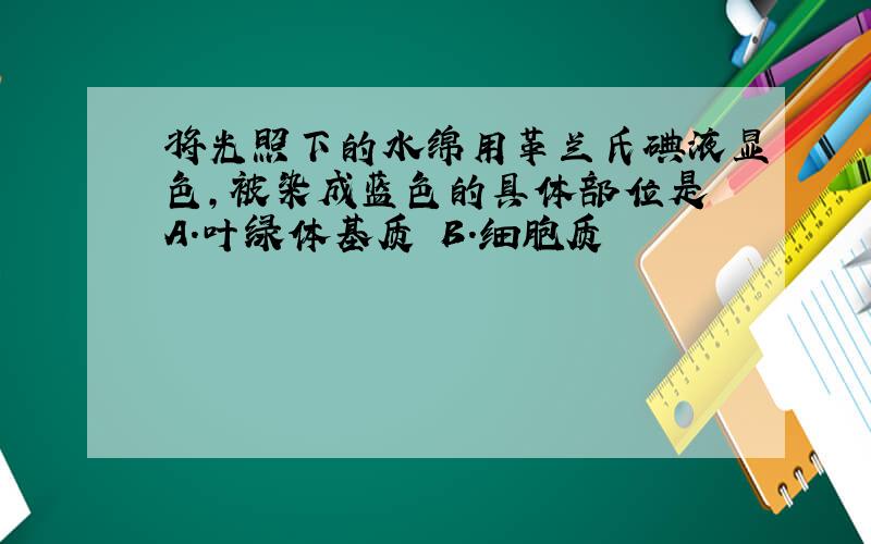 将光照下的水绵用革兰氏碘液显色,被染成蓝色的具体部位是 A．叶绿体基质 B．细胞质