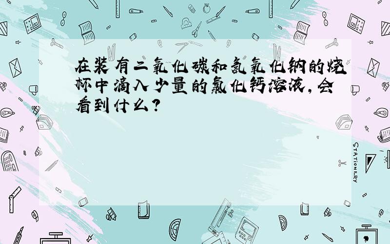 在装有二氧化碳和氢氧化钠的烧杯中滴入少量的氯化钙溶液,会看到什么?