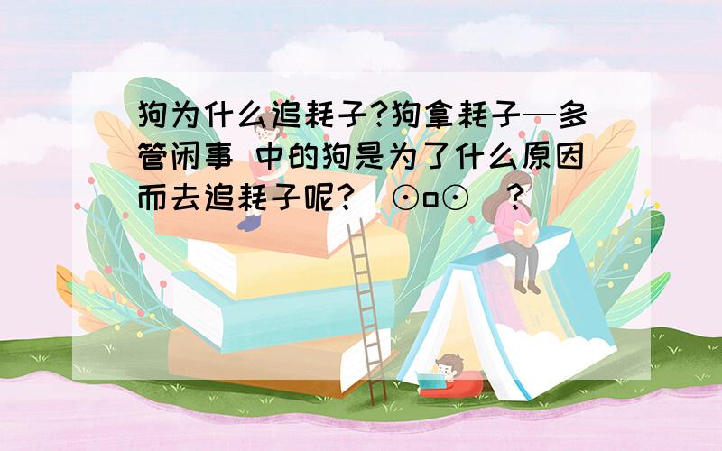 狗为什么追耗子?狗拿耗子—多管闲事 中的狗是为了什么原因而去追耗子呢?(⊙o⊙)?