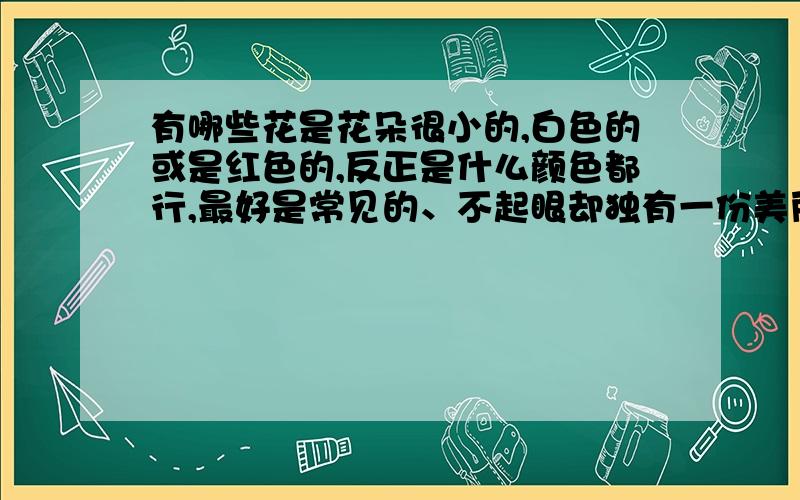 有哪些花是花朵很小的,白色的或是红色的,反正是什么颜色都行,最好是常见的、不起眼却独有一份美丽?