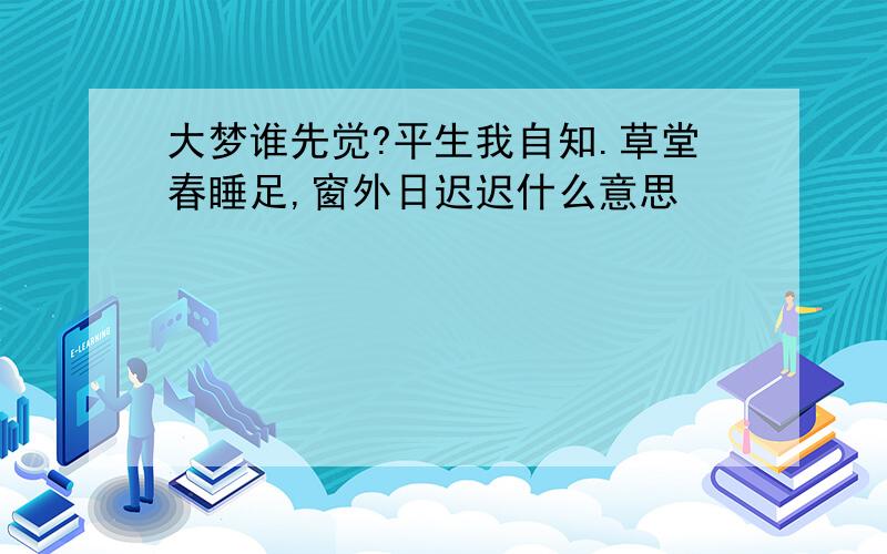 大梦谁先觉?平生我自知.草堂春睡足,窗外日迟迟什么意思